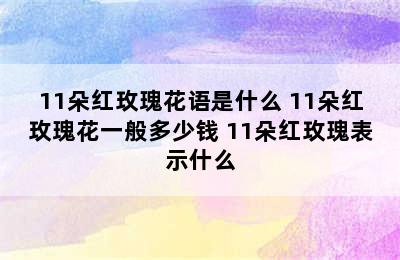 11朵红玫瑰花语是什么 11朵红玫瑰花一般多少钱 11朵红玫瑰表示什么